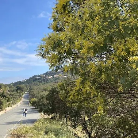 St Raphael Piscine Wifi, Commerces Et A Pieds 아파트