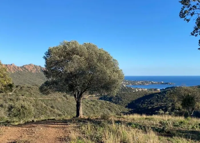 St Raphael Piscine Wifi, Commerces Et A Pieds Apartment *