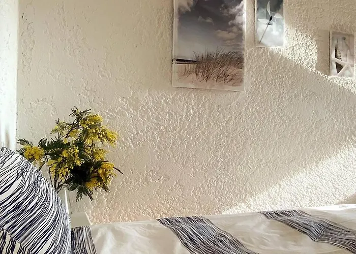 St Raphael Piscine Wifi, Commerces Et A Pieds * Saint-Raphael (Var)